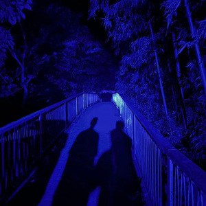 天天狠,天天操麻豆
