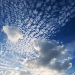 天天狠,天天操麻豆
